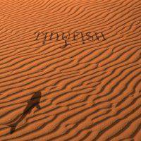 Tinyfish : Summer Promo Tinyfish : Summer Promo